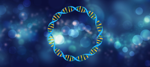 Plasmids and Parts